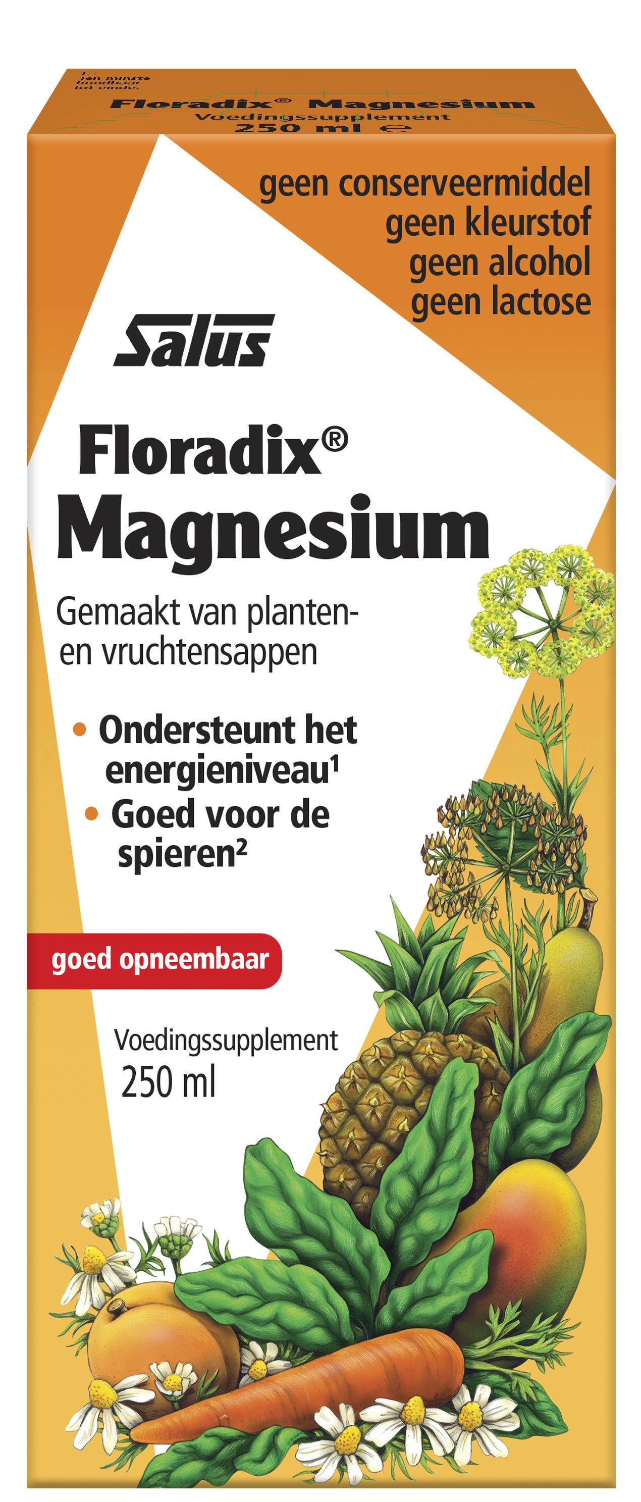 SALUS FLORADIX MAGNESIUM