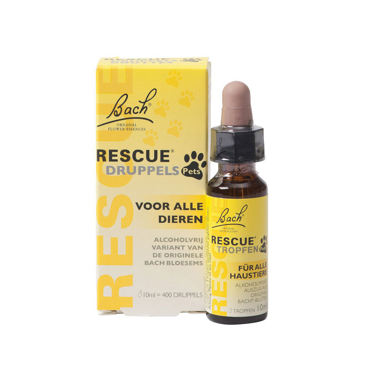 BACH RESCUE PETS
