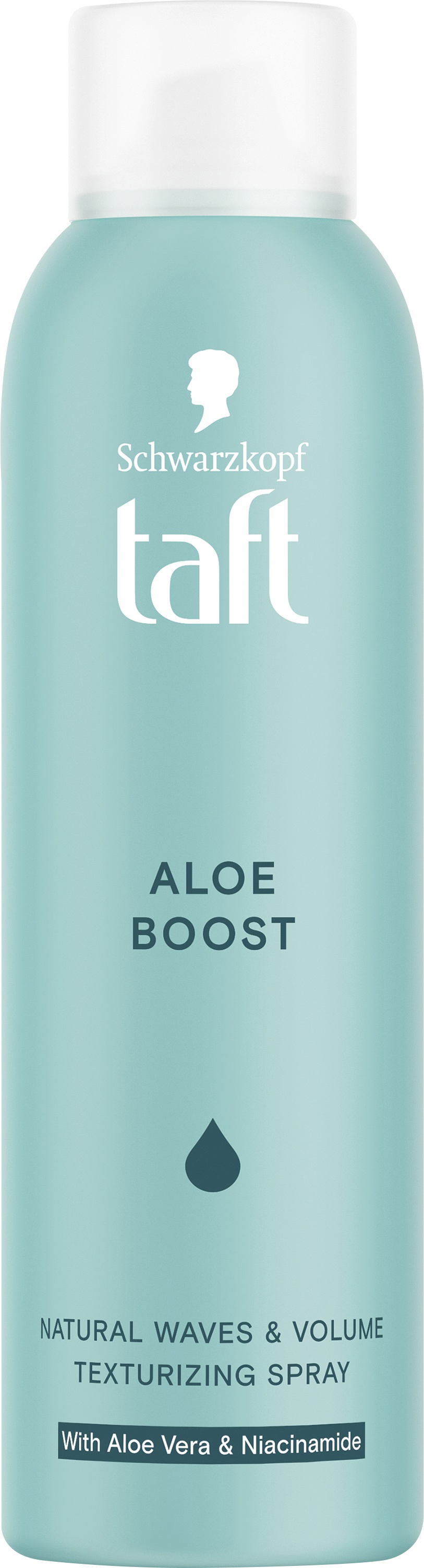 TAFT TEXTURE SPRAY ALOE