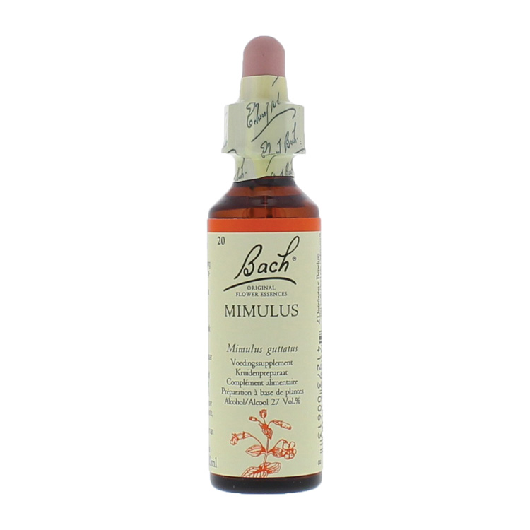 BACH MIMULUS/MASKERBLOEM