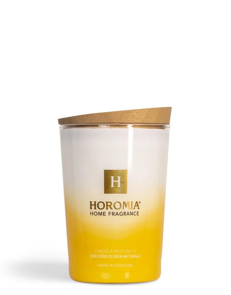 HOROMIA GEURKAARS VANIGLIA E BENZOINO