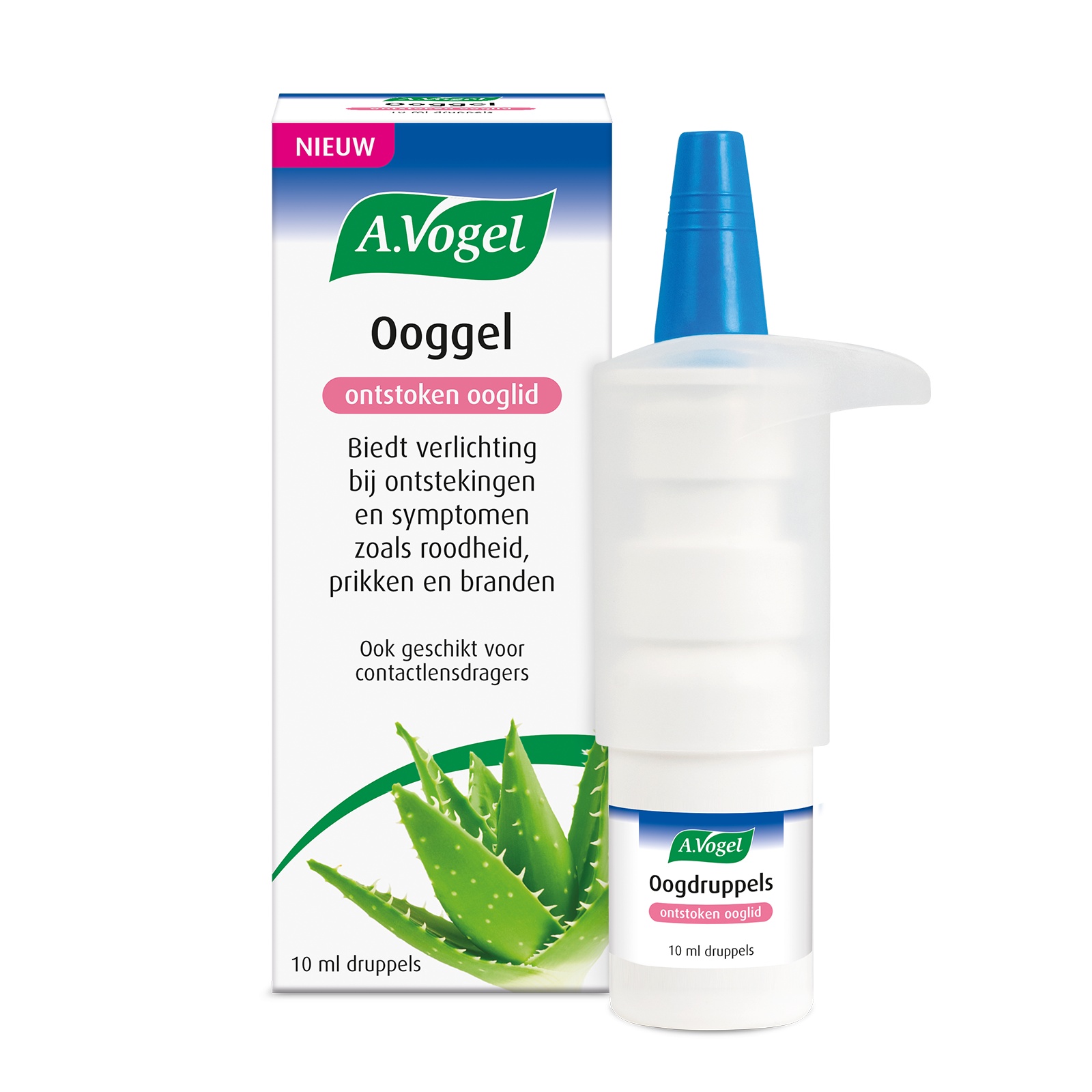 A.VOGEL OOGGEL ONTSTOKEN OOGLID