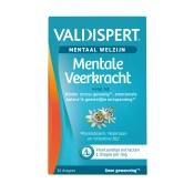 VALDISPERT MENTALE VEERKRACHT