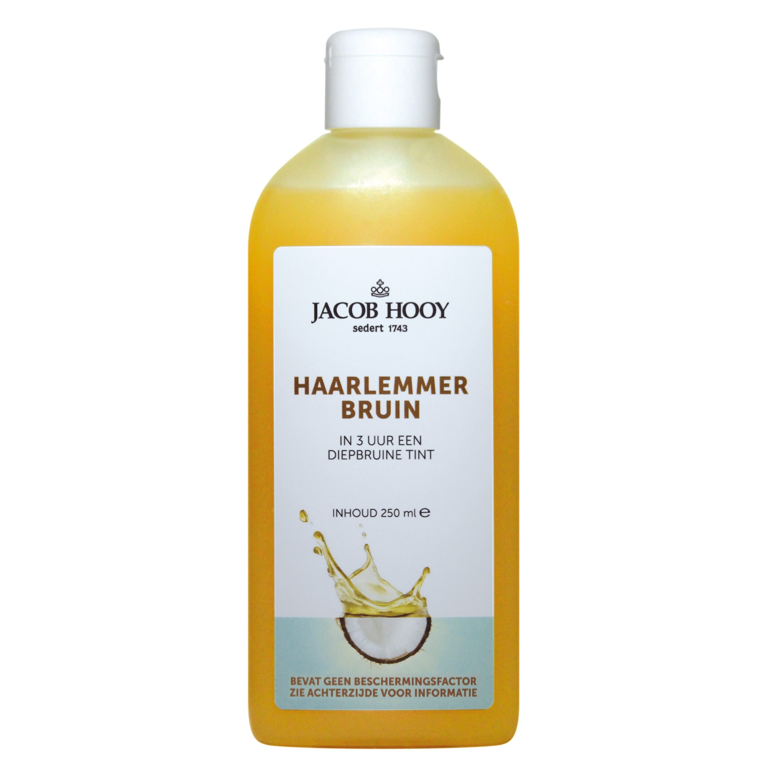 JACOB HOOY HAARLEMMERBRUIN