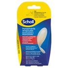 SCHOLL BLARENPLEISTERS GROOT HIEL