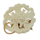 ALEPPO SOAP CO TRANCHE LOOFA NATUURSPONS PLAT