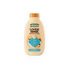 GARNIER LOVING BLENDS SHAMPOO VOEDENDE RIJKE ARGAN