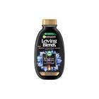 GARNIER LOVING BLENDS SHAMPOO MAGNETIC CHAROAL