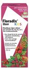 SALUS FLORADIX KIDS IJZER-ELIXER