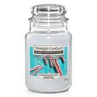 YANKEE CANDLE LARGE JAR CANDY CANE FOREST