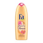 FA DOUCHE GEL ORIENTAL MOMENTS