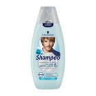 SCHWARZKOPF SHAMPOO MEN ANTI ROOS