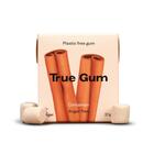 TRUE GUM CINNAMON SUGARFREE