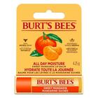 BURT-S BEES LIP BALM SWEET MANDARIN