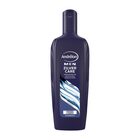 ANDRELON MEN SHAMPOO ZILVER CARE