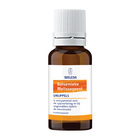 WELEDA BIO BALSEMIEKE MELISSEGEEST -NL-BIO-01