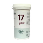 PFLUGER SCHUSSLERZOUTEN NR. 17 MANGANUM SULFURICUM D6