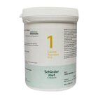 PFLUGER SCHUSSLERZOUTEN NR. 1 CALCIUM FLUORATUM D12