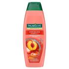PALMOLIVE SHAMPOO NATURALS 2 IN 1 HYDRA BALANCE PERZIK
