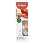 BOLSIUS GEURVERSPREIDER TRUE SCENTS APPLE CINNAMON