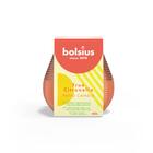 BOLSIUS PATIOLIGHT TRUE CITRONELLA EARTHY