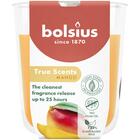 BOLSIUS GEURGLAS 80/73 TRUE SCENTS MANGO