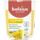 BOLSIUS GEURGLAS 80/73 TRUE SCENTS MIMOSA