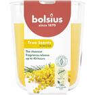 BOLSIUS GEURGLAS 97/85 TRUE SCENTS MIMOSA