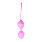 EASYTOYS DUBBELE VAGINA  BALLETJES ROZE