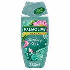 PALMOLIVE DOUCHE GEL WELLNESS REVITALIZE