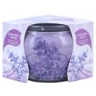 AT HOME SCENTS GEURKAARS LAVENDER