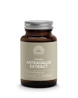 MATTISSON ASTRAGALUS EXTRACT 475 MG